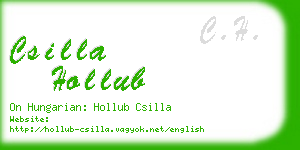 csilla hollub business card